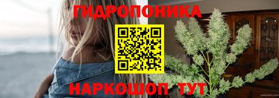 гидра Обь