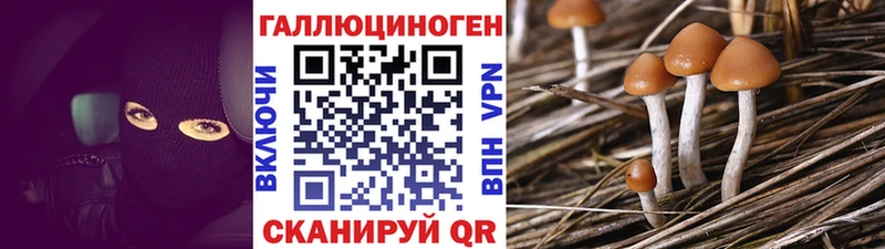 Галлюциногенные грибы MAGIC MUSHROOMS  МЕГА рабочий сайт  Черногорск 
