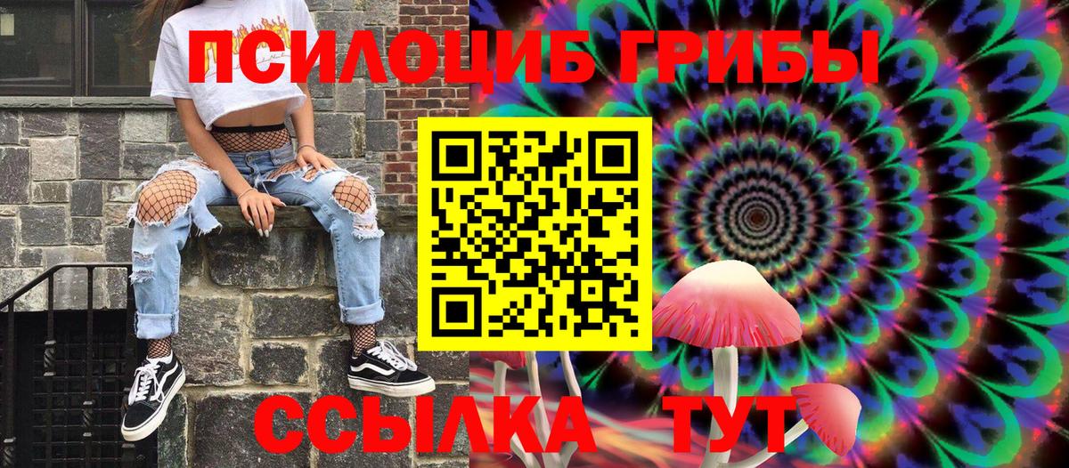Псилоцибиновые грибы Psilocybe  Вход с VPN  Галлюциногенные грибы GOLDEN TEACHER  Черногорск 